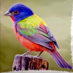 Meet your Posher, Nelda